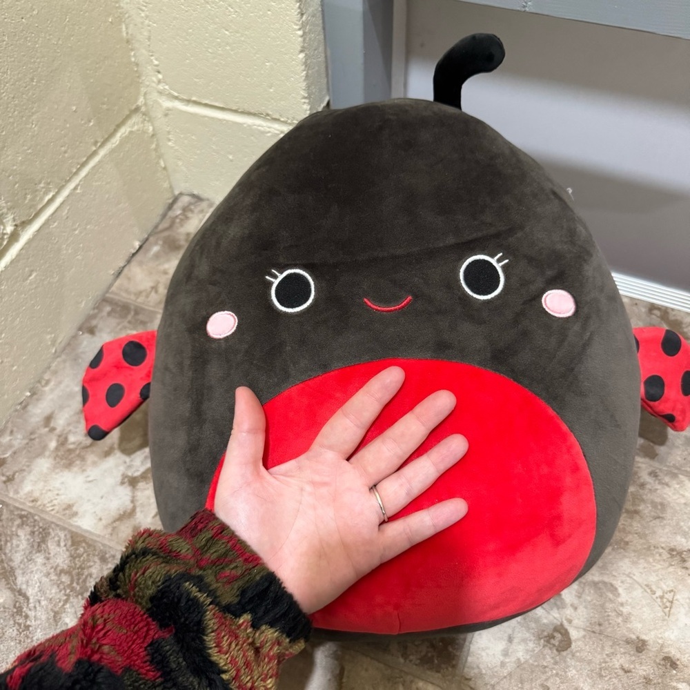 Trudy Ladybug Squishmellow Red Black NEW Kids Unisex Toy Stuffed Animal NWT Fun - Picture 16 of 16